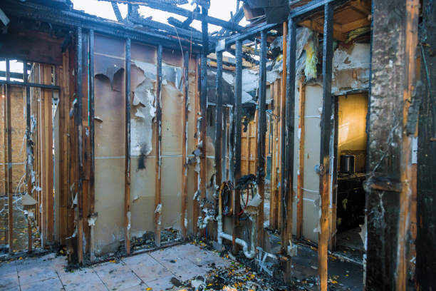 Professional Odor Removal technician working in Saint Croix Falls, WI