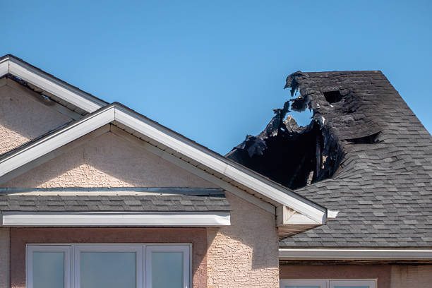 Top rated local Odor Removal specialists in Saint Croix Falls, WI